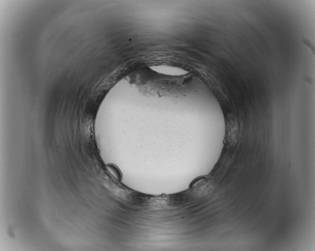 X0000099970574200806131535