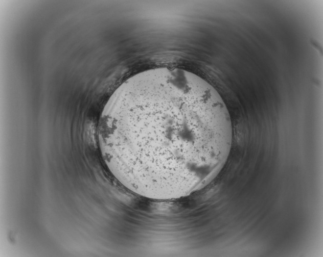 X0000099970575200806131535