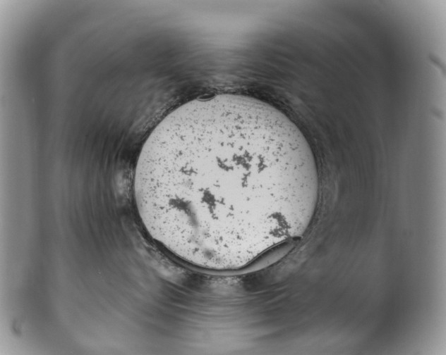 X0000099970576200806131535