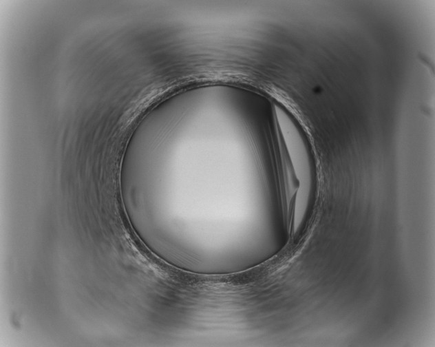 X0000099970577200806131534