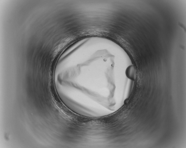 X0000099970578200806131534