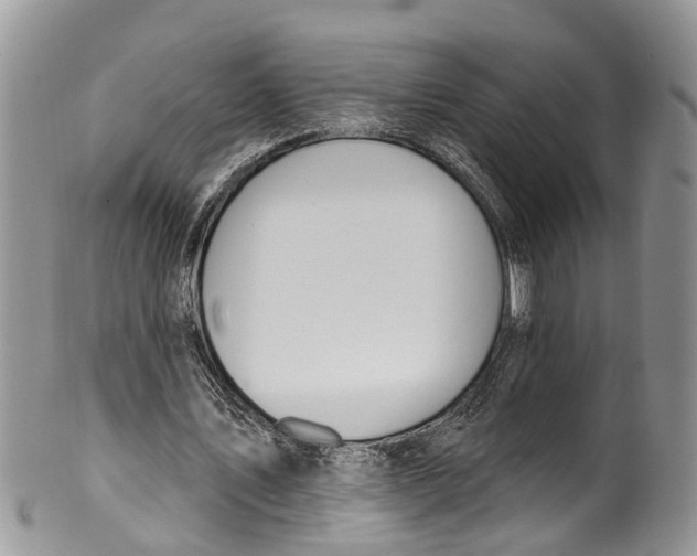 X0000099970579200806131534