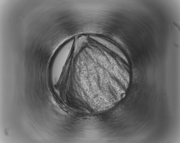 X0000099970580200806131534