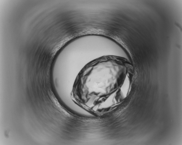 X0000099970581200806131534