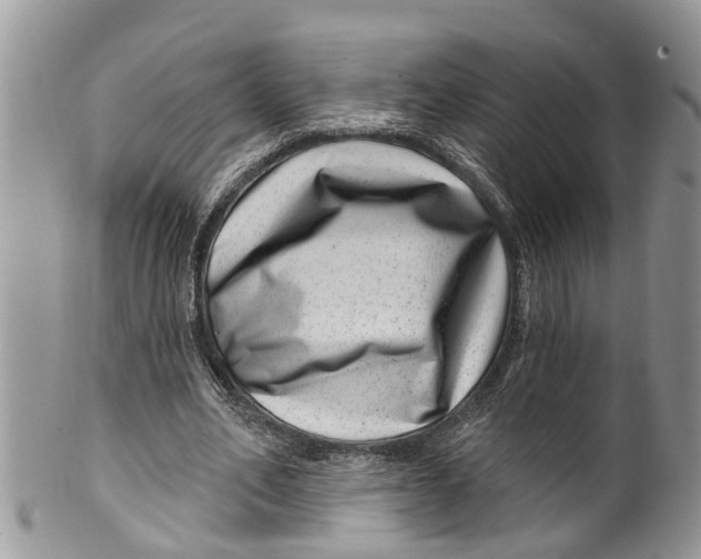 X0000099970582200806131534