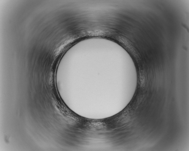 X0000099970583200806131534