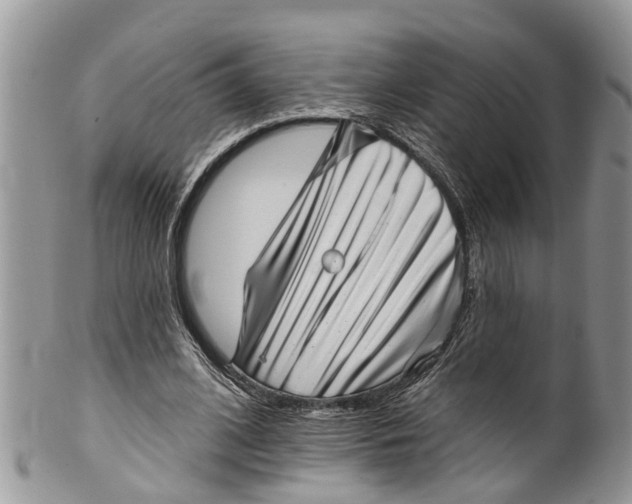 X0000099970584200806131534