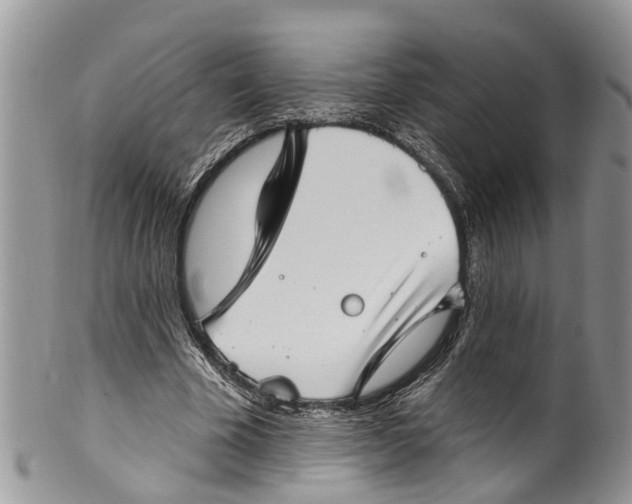 X0000099970585200806131534