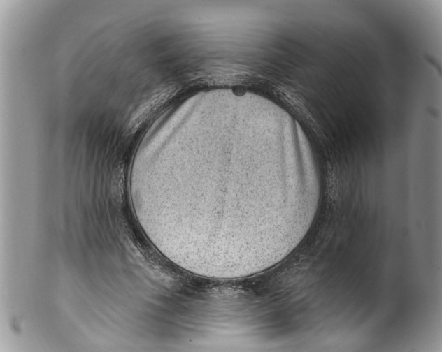 X0000099970586200806131534