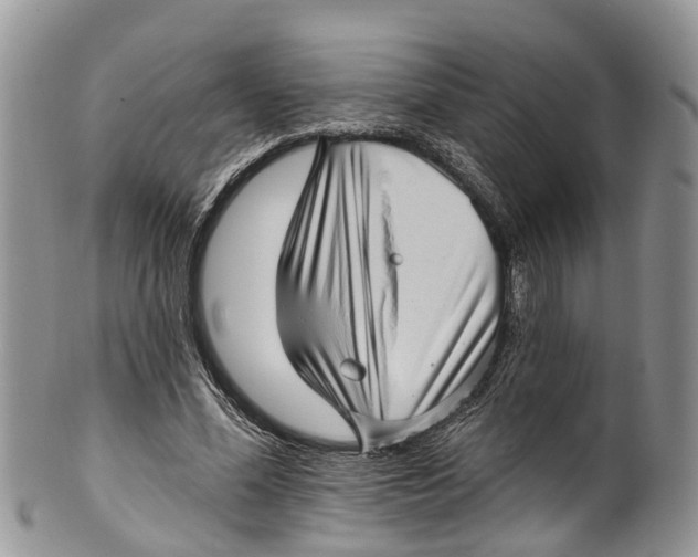 X0000099970588200806131534