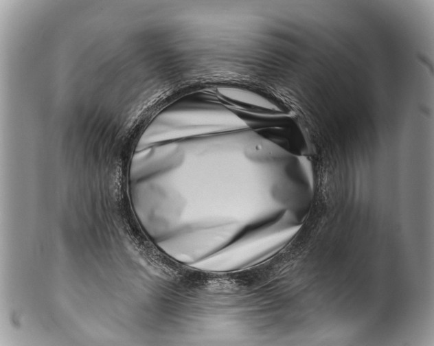 X0000099970591200806131534