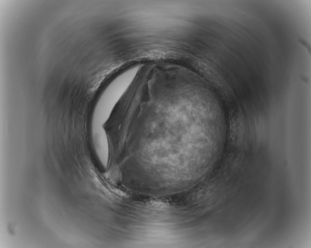 X0000099970592200806131534