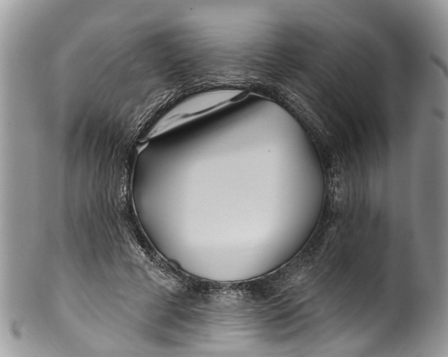 X0000099970593200806131534