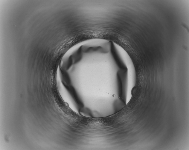 X0000099970594200806131534