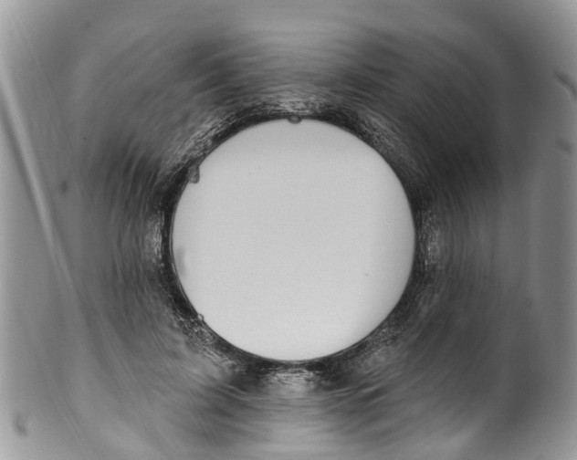 X0000099970595200806131534