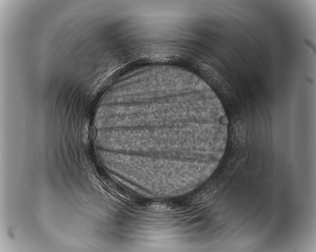 X0000099970596200806131534