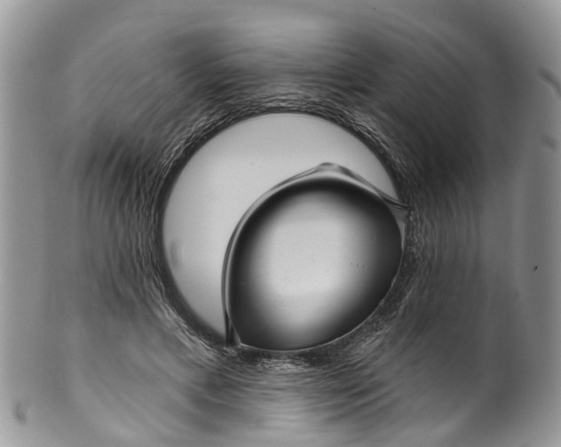 X0000099970597200806131534