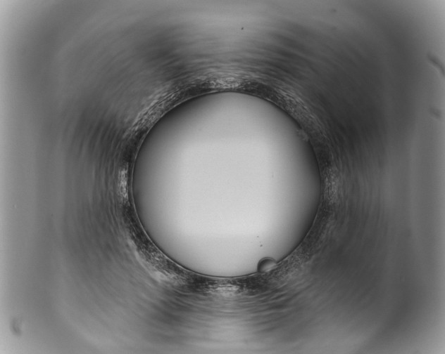 X0000099970598200806131534