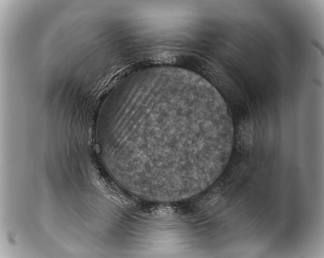 X0000099970600200806131533