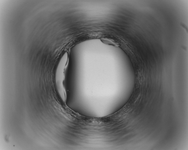 X0000099970601200806131533