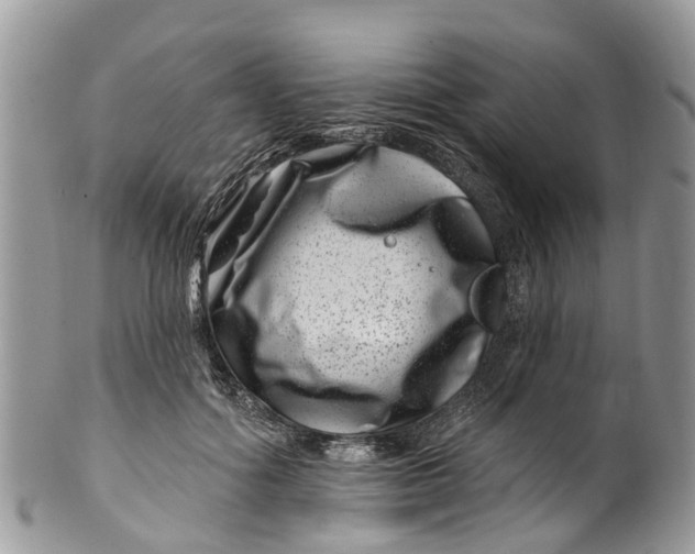 X0000099970602200806131533