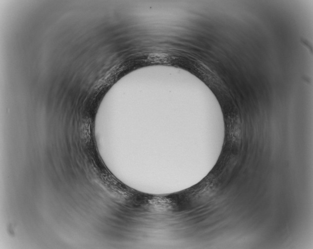 X0000099970603200806131533