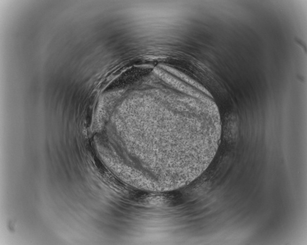 X0000099970604200806131533