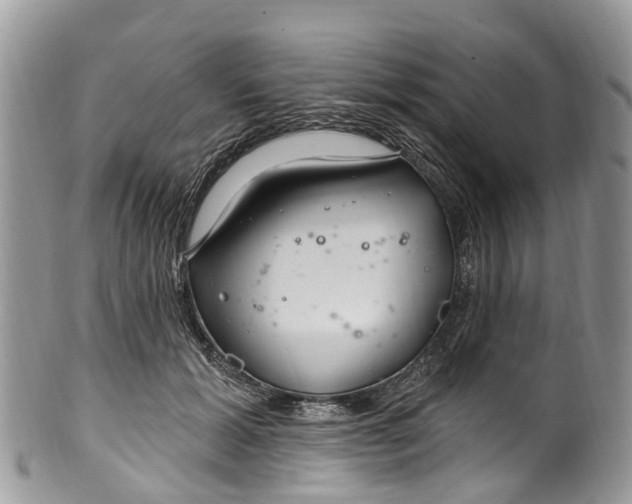 X0000099970605200806131533