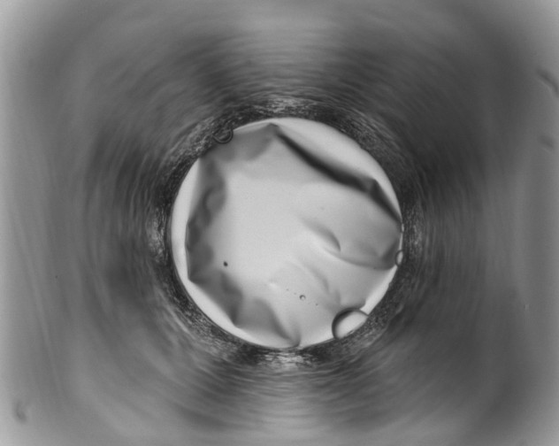 X0000099970607200806131533