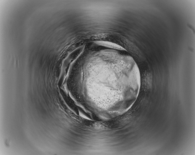 X0000099970608200806131533