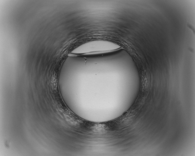 X0000099970609200806131533