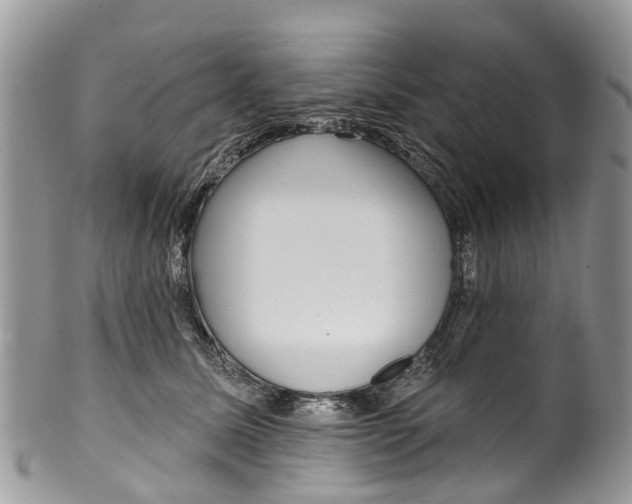 X0000099970611200806131533