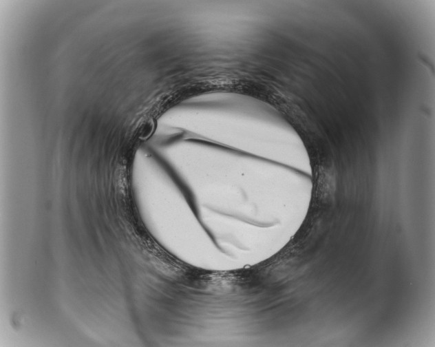 X0000099970612200806131533