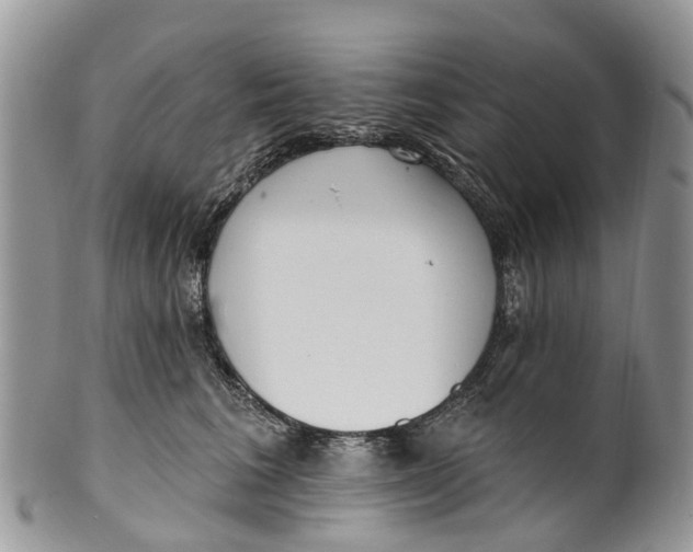 X0000099970613200806131533