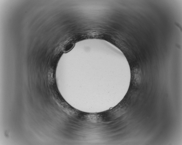 X0000099970615200806131533