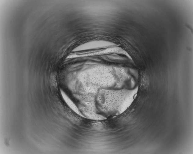 X0000099970616200806131533