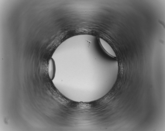 X0000099970617200806131533