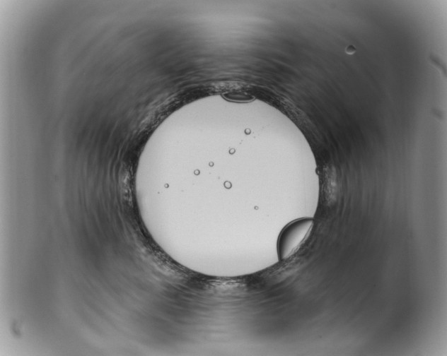 X0000099970619200806131533