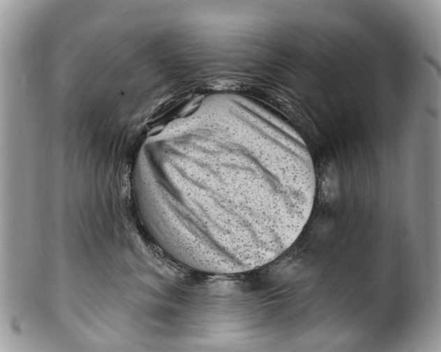 X0000099970620200806131533