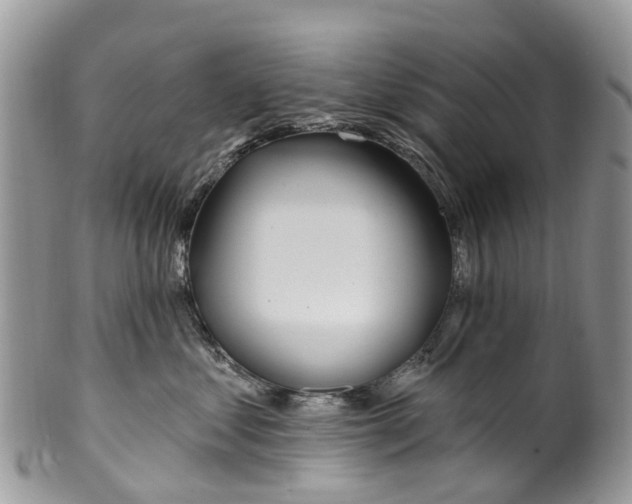 X0000099970621200806131533