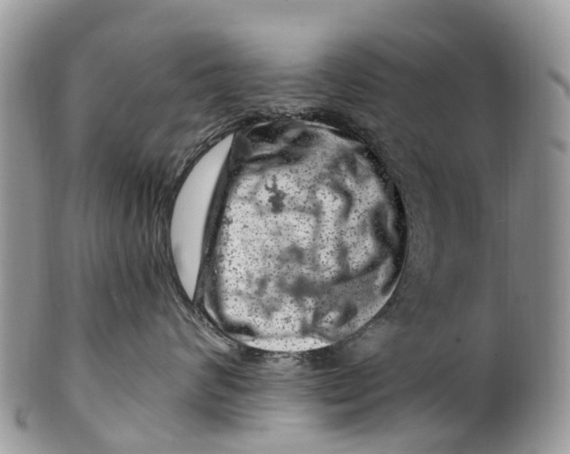 X0000099970624200806131533