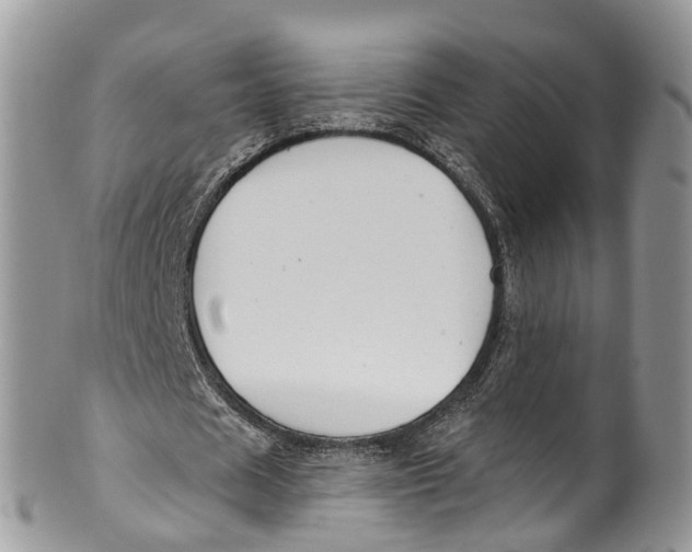 X0000099970625200806131532