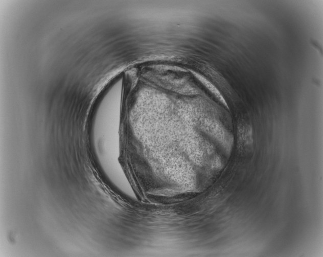 X0000099970628200806131533