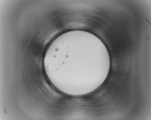 X0000099970629200806131533