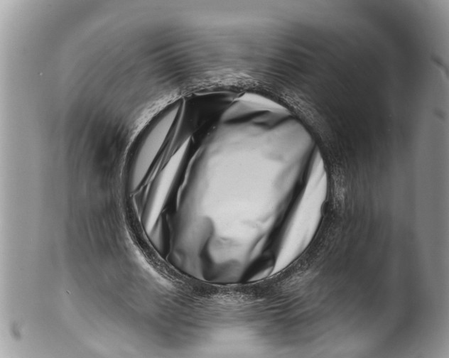 X0000099970630200806131533