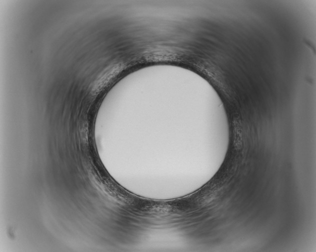 X0000099970631200806131533