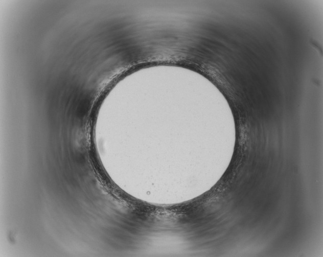 X0000099970632200806131533