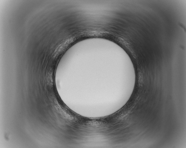 X0000099970633200806131533