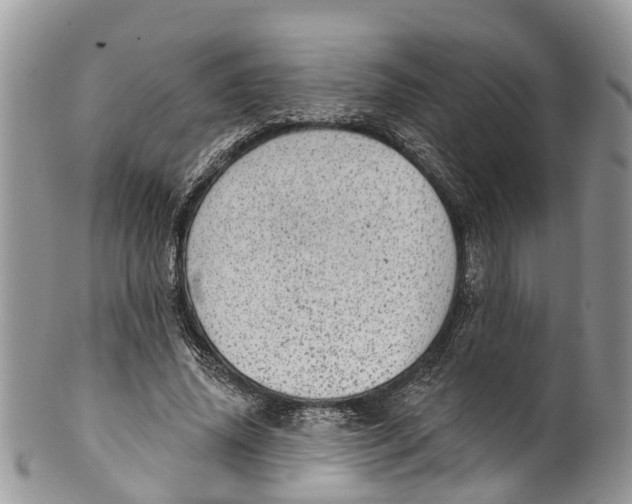 X0000099970636200806131533