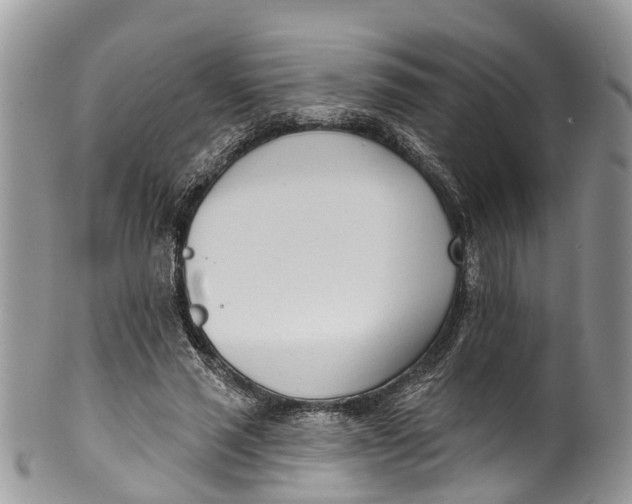 X0000099970637200806131533